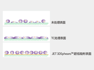 超低吸附表面具有共價(jià)結(jié)合的水凝膠層，具有極強(qiáng)的抗蛋白吸附性和抗細(xì)胞貼壁性，可有效抑制細(xì)胞附著
