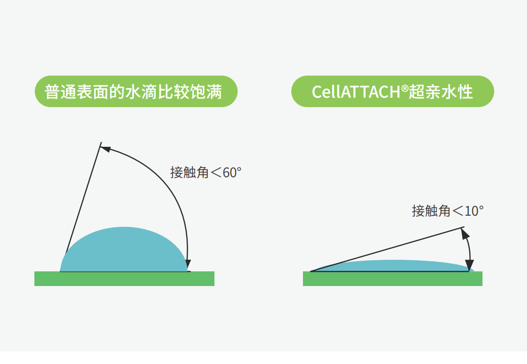 獨(dú)特的超親水表面處理技術(shù)，能為細(xì)胞提供更好的吸附性，促進(jìn)細(xì)胞快速貼壁生長(zhǎng)，提高產(chǎn)量