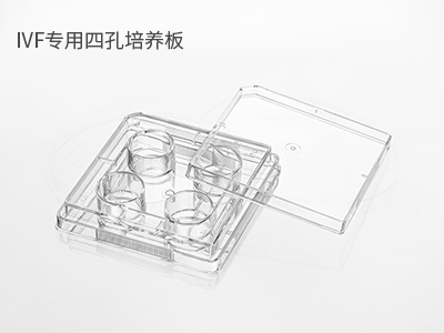 胚胎冷凍/解凍；胚胎體外培養(yǎng)